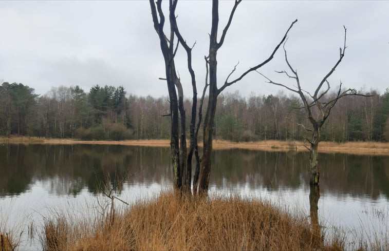 Natuurhuisje in Doldersum