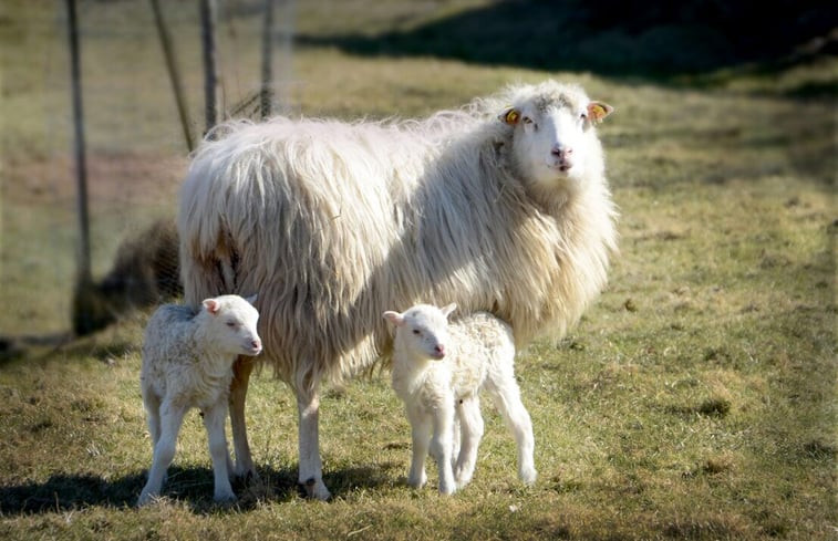 Natuurhuisje in Neu Bleckede