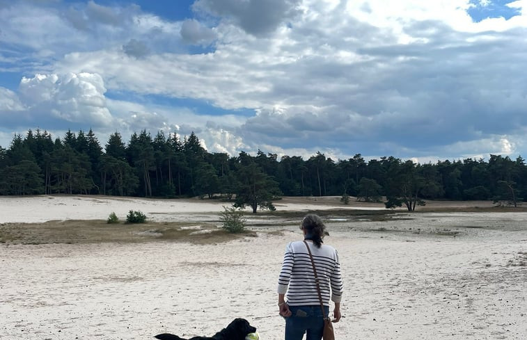 Natuurhuisje in Stegeren