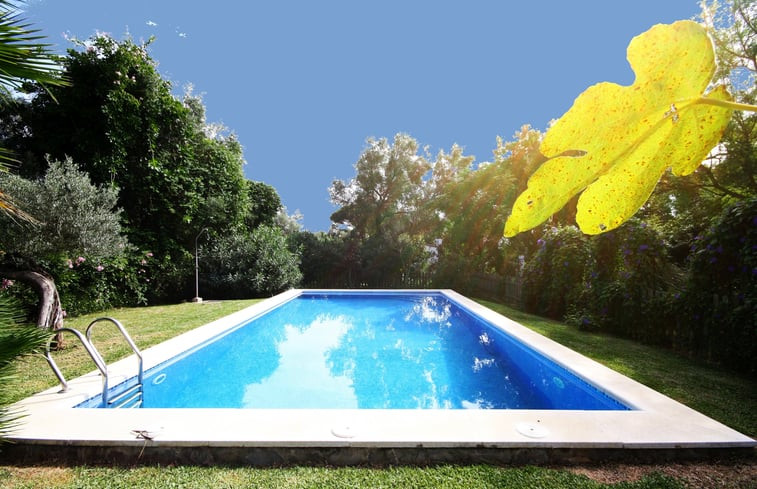 Natuurhuisje in La Muela, Vejer de la Frontera