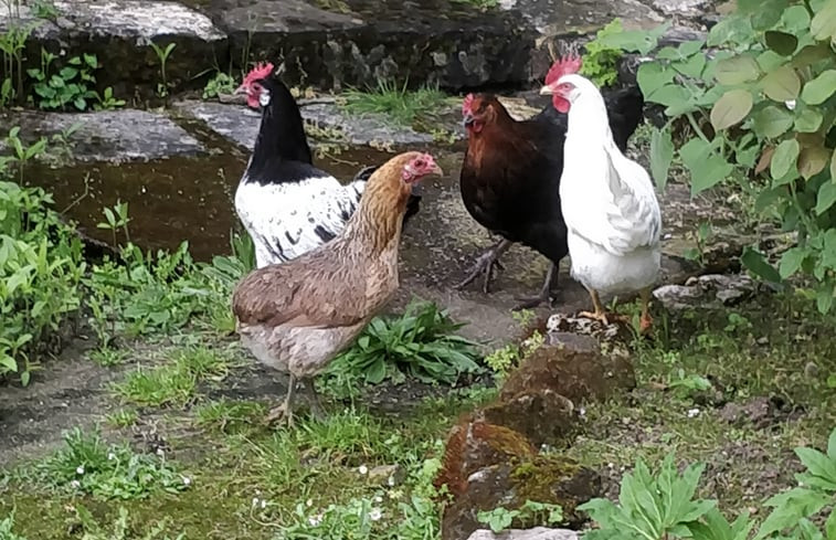 Natuurhuisje in CIZAY LA MADELEINE