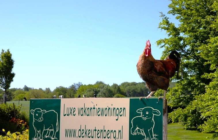 Natuurhuisje in Keutenberg-Schin op Geul