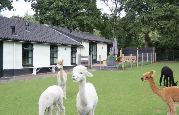 Natuurhuisje in Garderen