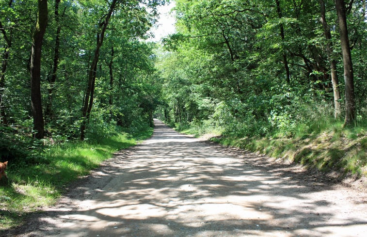 Natuurhuisje in Dötlingen Ostrittrum