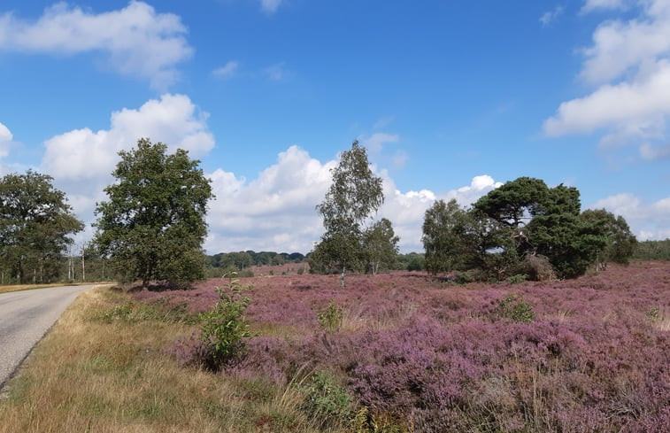 Natuurhuisje in Holten