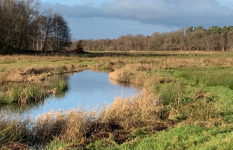 Natuurhuisje in Balkbrug