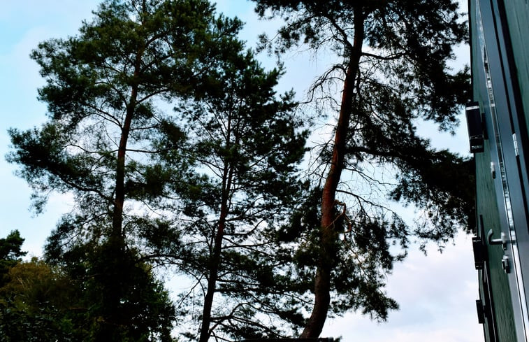 Natuurhuisje in Bad Stuer