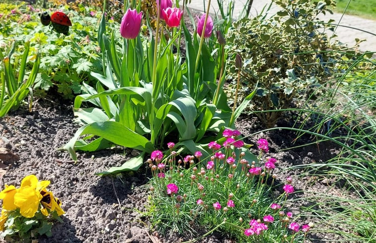 Natuurhuisje in Scheerwolde