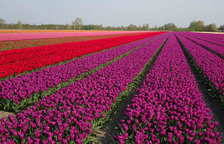 Natuurhuisje in Hulshorst