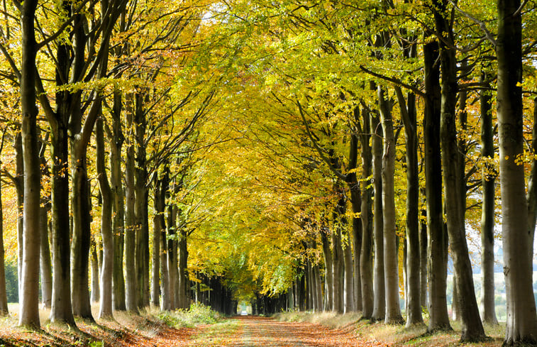 Natuurhuisje in Durbuy