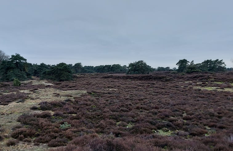 Natuurhuisje in Bronneger