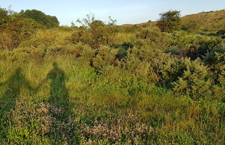 Natuurhuisje in Egmond aan den Hoef