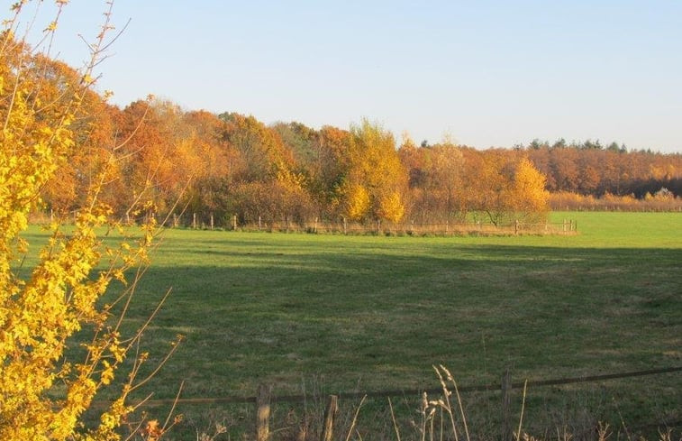 Natuurhuisje in Vorden