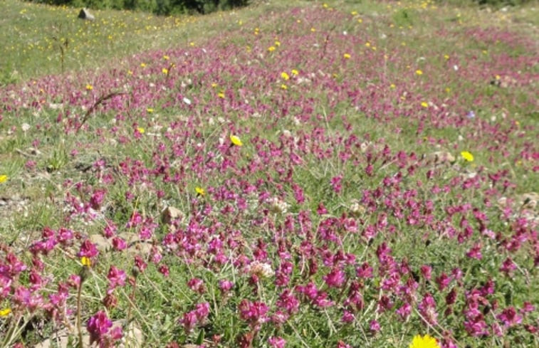 Natuurhuisje in Allos