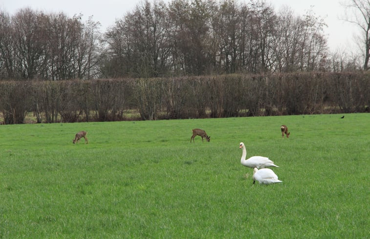 Natuurhuisje in Breukelen