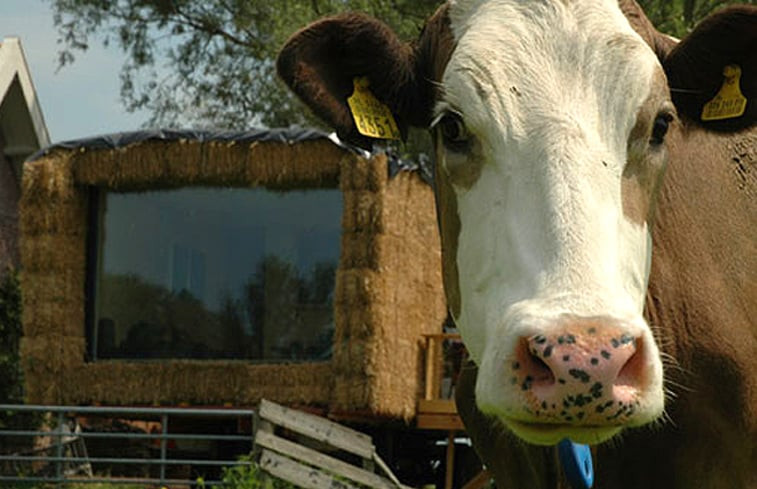 Natuurhuisje in Wyns