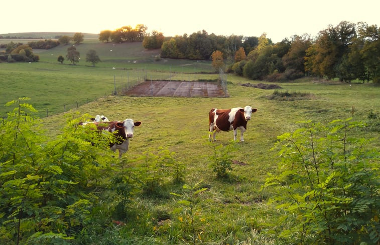 Natuurhuisje in Le Mont-Dieu