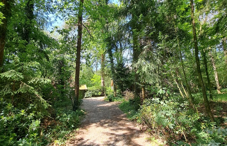 Natuurhuisje in Winterswijk Ratum