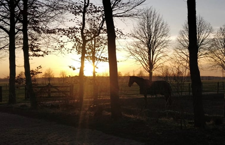 Natuurhuisje in Balkbrug