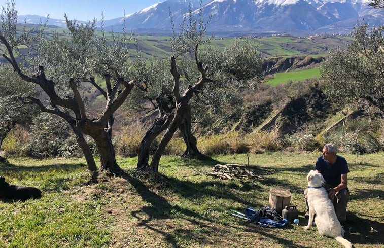 Natuurhuisje in Villa San Vincenzo