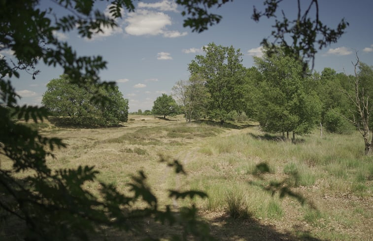 Natuurhuisje in Beilen