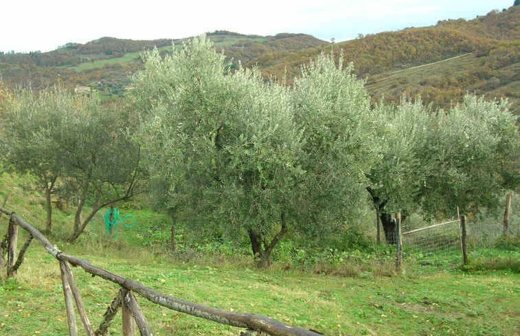 Natuurhuisje in Gubbio