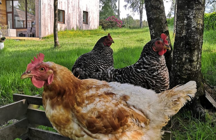 Natuurhuisje in Küchelscheid