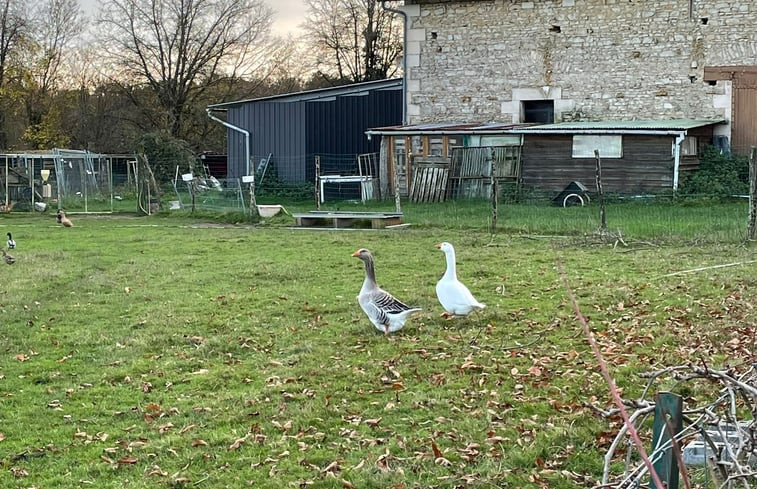 Natuurhuisje in Savigny Levescault