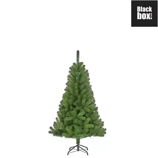 Black Box Kunstkerstboom Charlton h120 x d76cm Groen