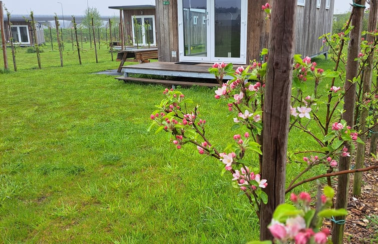 Natuurhuisje in Valkenswaard