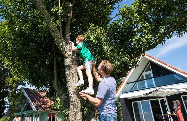 Natuurhuisje in Dokkum/oostrum