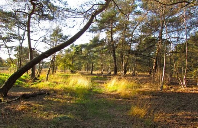 Natuurhuisje in Beckum