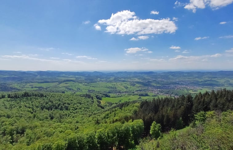 Natuurhuisje in Reichelsheim