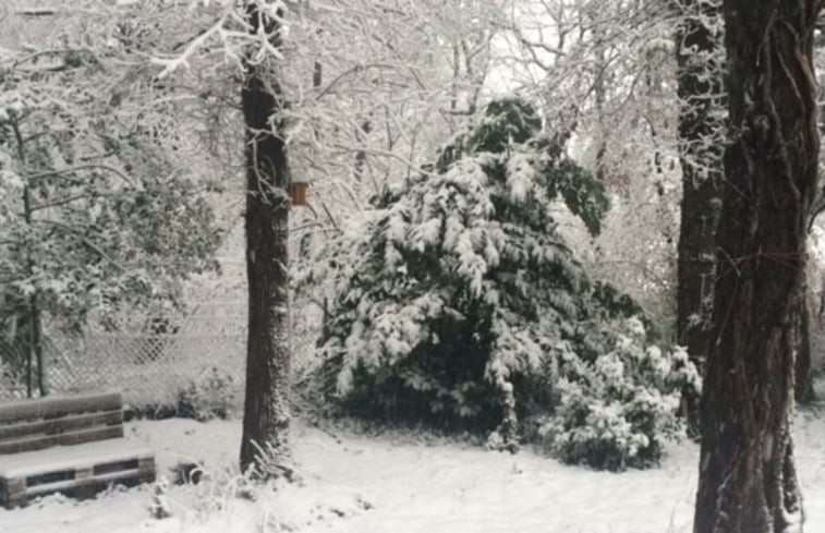 Natuurhuisje in Garderen