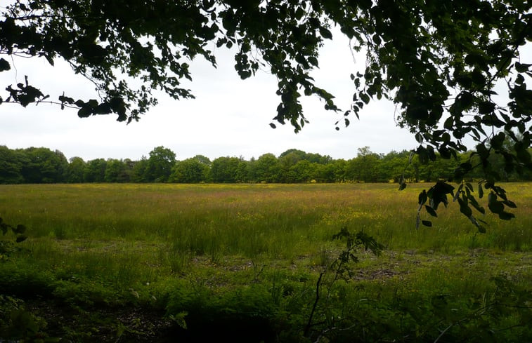 Natuurhuisje in Roden