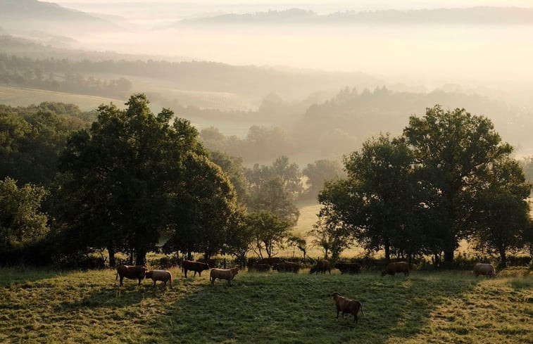 Natuurhuisje in Goulles