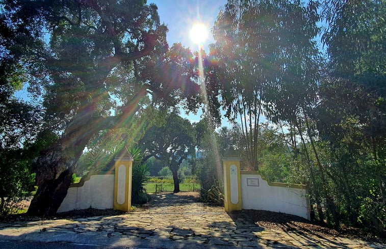 Natuurhuisje in Lameiras, Paio Mendes, Ferreira do Zêzere