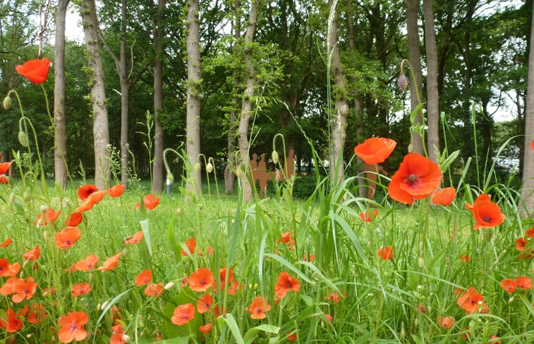 Natuurhuisje in Nieuwkerke/Heuvelland