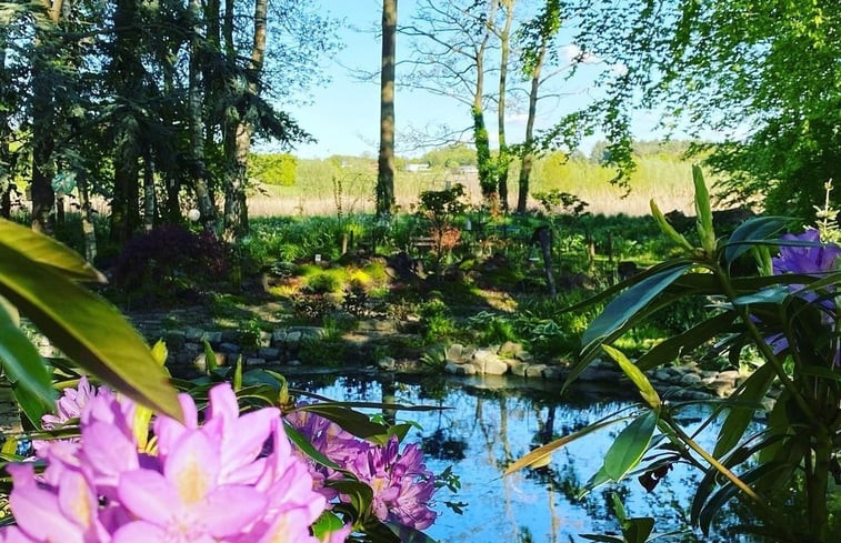 Natuurhuisje in Woensdrecht