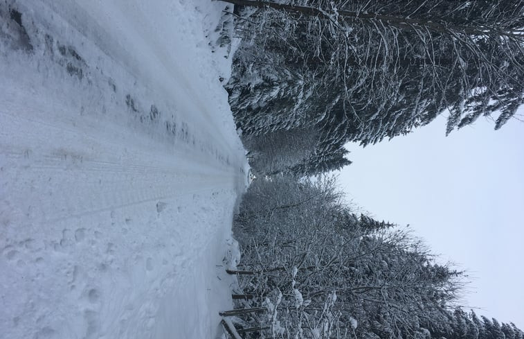 Natuurhuisje in Vielsalm/Petit Thier