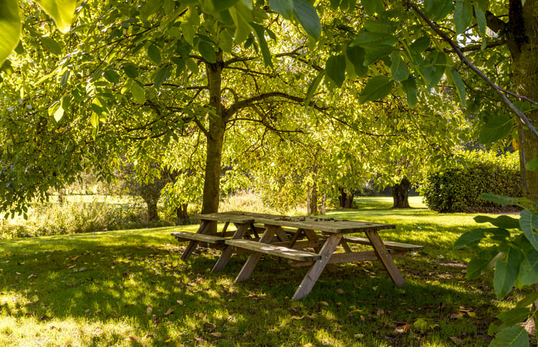 Natuurhuisje in Hombourg