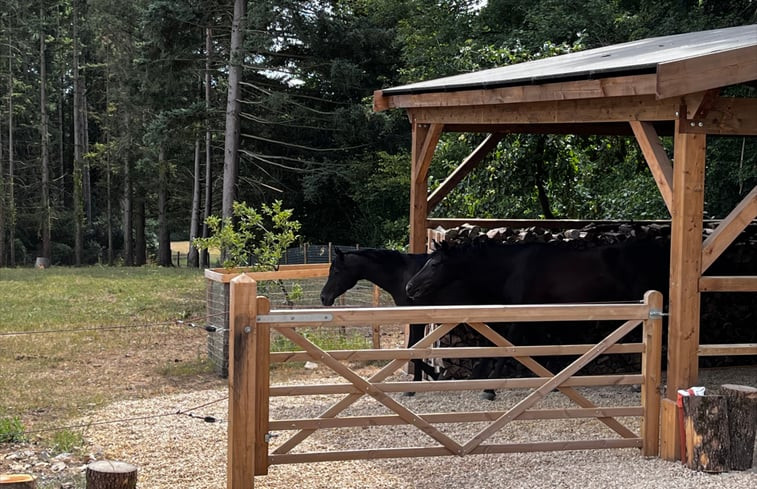 Natuurhuisje in Falaen