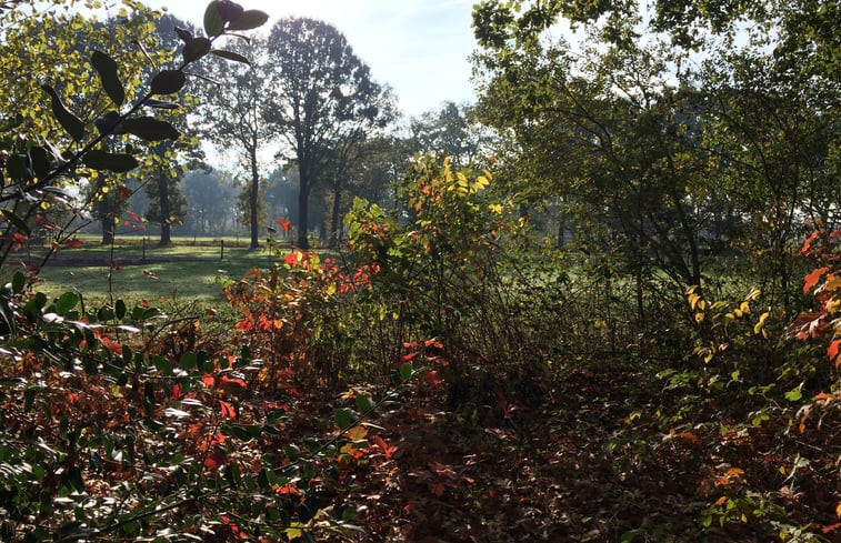 Natuurhuisje in Rijsbergen