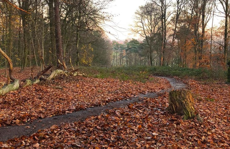 Natuurhuisje in Geesteren