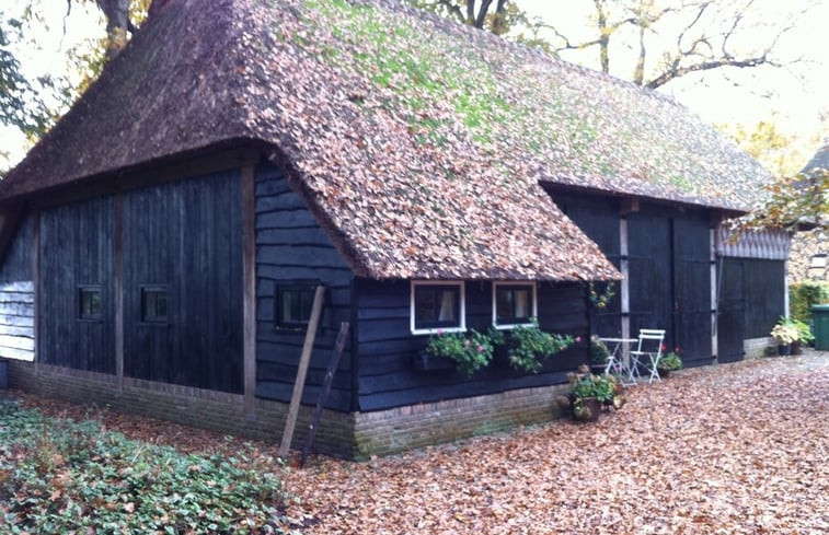 Natuurhuisje in Uffelte