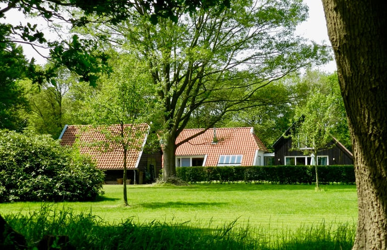 Natuurhuisje in Wapse