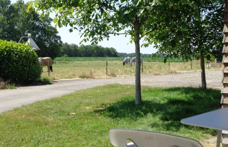 Natuurhuisje in Fochteloo