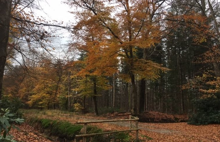 Natuurhuisje in De Rips