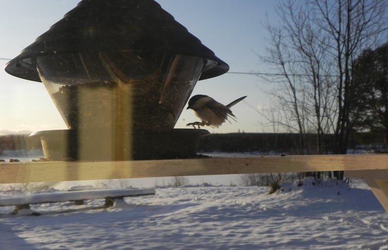 Natuurhuisje in Blattnicksele