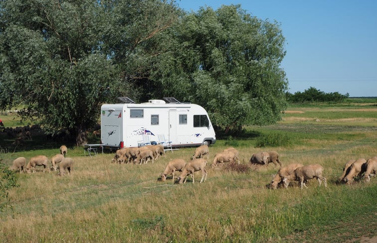 Natuurhuisje in Tiszagyenda